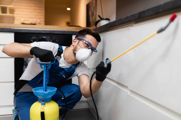 Best Flea Control Services  in Ronceverte, WV
