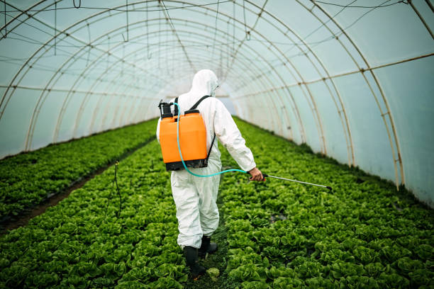 Best Local Pest Control Services  in Ronceverte, WV