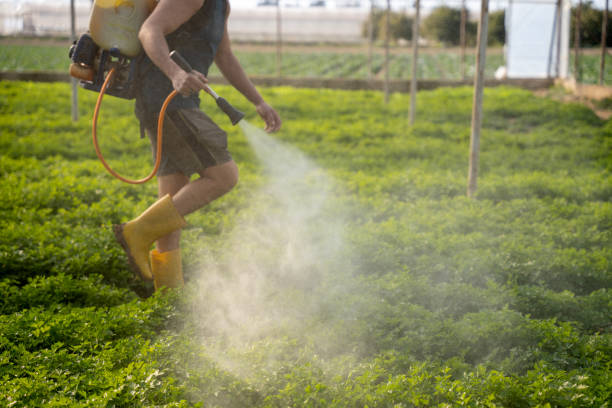 Best Commercial Pest Control Services  in Ronceverte, WV