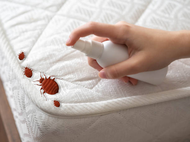Best Best Pest Control Companies  in Ronceverte, WV