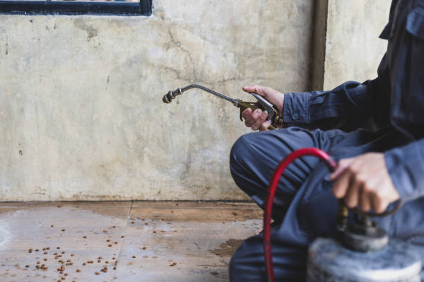 Best Residential Pest Control  in Ronceverte, WV